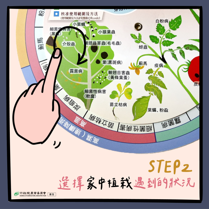 步驟2-選擇家中植栽遇到的狀況